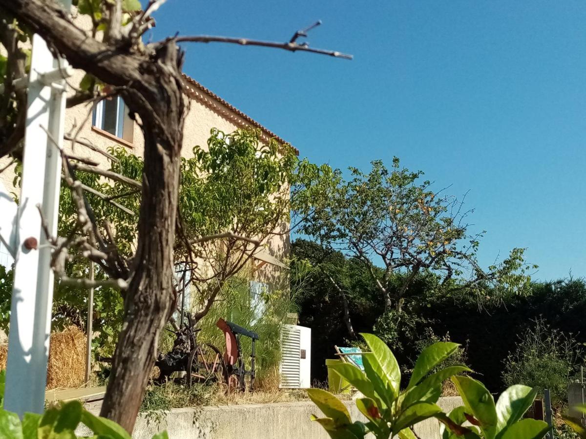 Apartamento Hysope Chateau-Arnoux-Saint-Auban Exterior foto