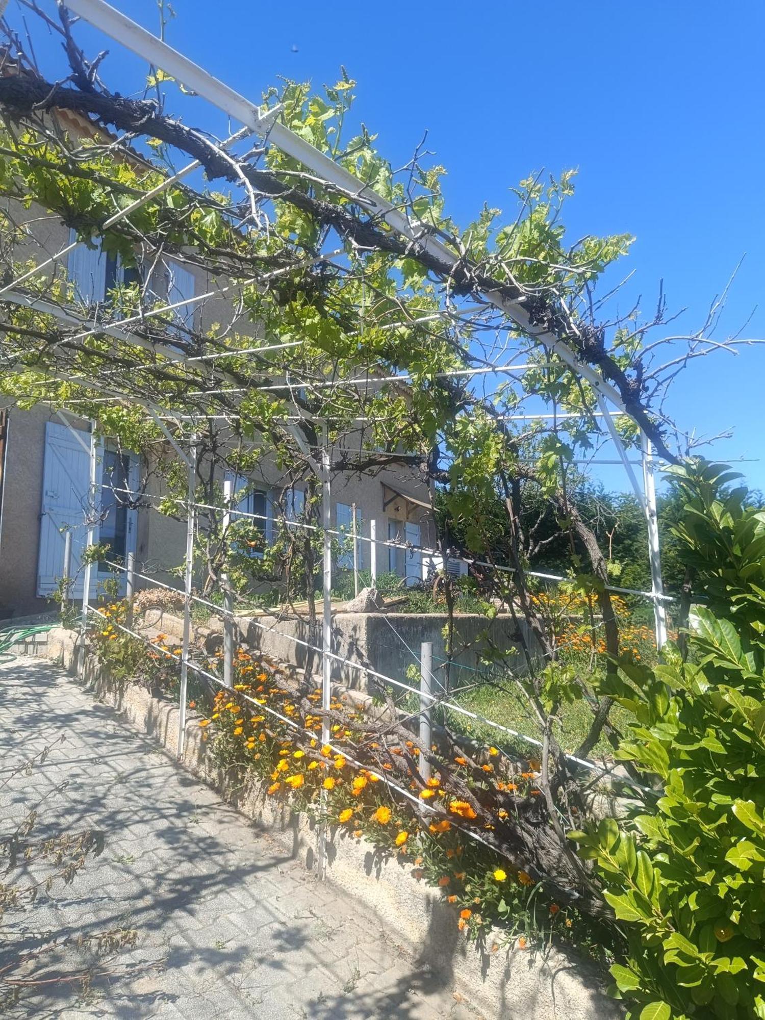 Apartamento Hysope Chateau-Arnoux-Saint-Auban Exterior foto